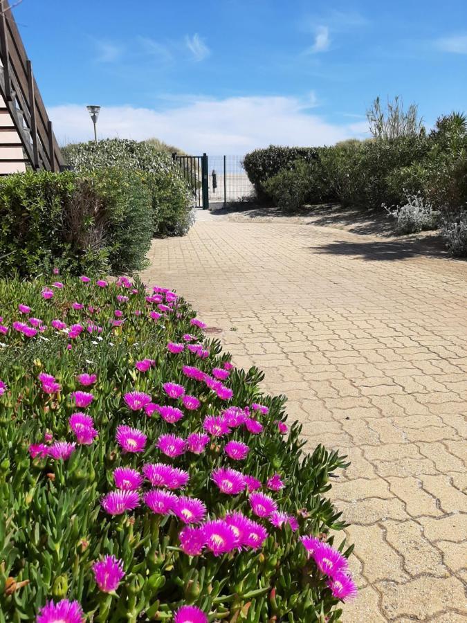 Plage De La Roquille 阿格德 外观 照片